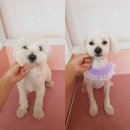 아토살롱 이미지