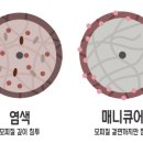 모또헤어 네이버블로그