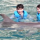 돌고래PC | 칸쿤 신혼여행 6박 9일 (3) _하얏트지바 돌고래 체험 후기