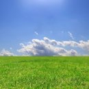 자연관찰 탐구활동 이미지