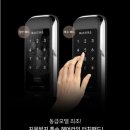 목련헤어라인 네이버블로그