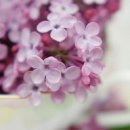 행복한날 이미지