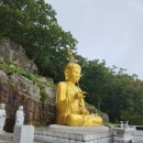 신항민박 이미지