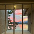 아르비토 이미지