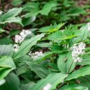 연두목장 이미지