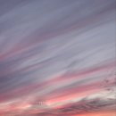 영어회화(기초) 이미지