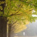 동내초등학교 이미지