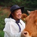 한우나라 농장 이미지