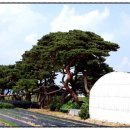 운봉읍 삼산마을 이미지