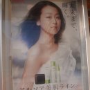 덴덴 이미지