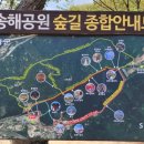 송해공원 제1주차장 이미지