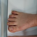 네일바당