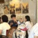 커피마이클 이미지