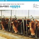 홍천사랑말 TMR 이미지