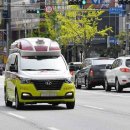 “저건 욕하면 안돼” 신호위반·과속·역주행 해도 경찰 단속 안 한다! 이미지