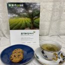 보성선운제다 이미지