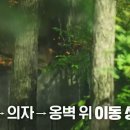 (주)위레젼드 Daum카페