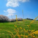 들꽃목장 이미지