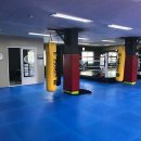 비노짐킥복싱 이미지