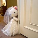 🤍Wedding Planning Diary #02. 고민중독의 스드메 고민 시작(w. 블랑드봄 윤혜인 실장님🤍)