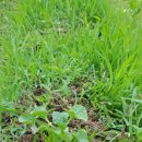 소만농장 이미지