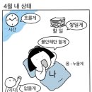 TMI 이미지