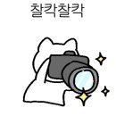 좋은참치와민어 이미지