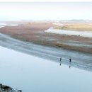 고창풍천장어 이미지