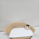 자연을 엮는 라탄공예 이미지