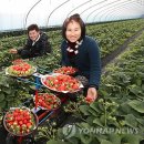 중방농장 이미지