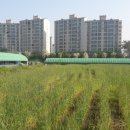 뜨락엔햇살 이미지