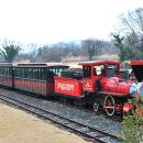 에코랜드 이미지