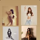 피티그램 이미지