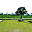 봄날-산책 이미지