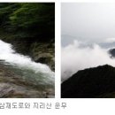 구룡 이미지