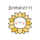 마이다꾸