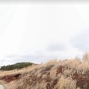 성읍리-7 이미지