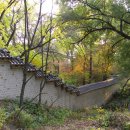 [서울] 도심 속에 숨겨진 상큼한 뒷길, 창덕궁 후원 뒷길 (후원 돌담길, 명륜동 장면 가옥) 이미지