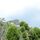 산청 정수산 산행