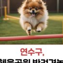 송도교육로 이미지
