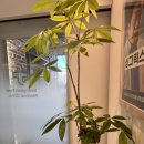 필내과의원 이미지