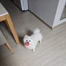 이디야커피 동탄호수공원점