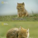 [시청 필라테스] #17 : 최강사 자율신경기능이상 극복기 4