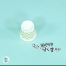펫스쿨