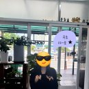 속초 대포항 물회_대포전복양푼물회 집 왕 추천! 신선킹