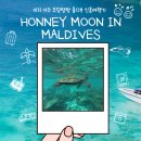 구름뜬하늘 | [HONEYMOON]몰디브 신혼여행기 DAY 4 - 코코보두히티 2일차 (포토세션/거북이/선셋크루즈/별 보기)