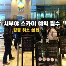 11545-12-10-26 | 도쿄 시부야 스카이 예약 방법 | 강풍으로 취소·환불된 실제 후기 (12월 겨울 방문 주의점)