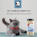 단스부띠끄 | [공지] 2023 수원 가낳지모 캣페어, 참가 브랜드와 이벤트 소개