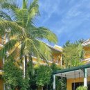 바란다 | 호이안 올드타운 라시에스타 클럽윙 풀뷰 바란다 스위트 업그레이드 숙박 후기(호텔,객실,수영장,조식후기)