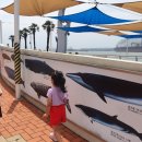 장생포야구장(주말) 이미지